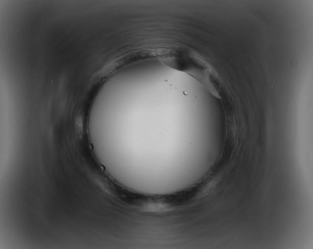 X0000086060262200704132025