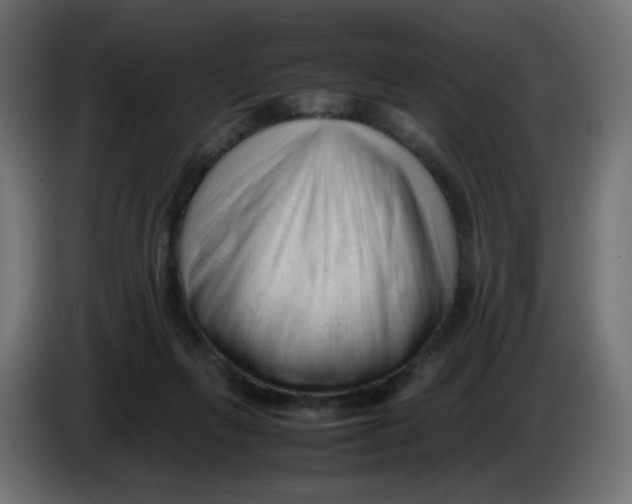 X0000086060263200704132025