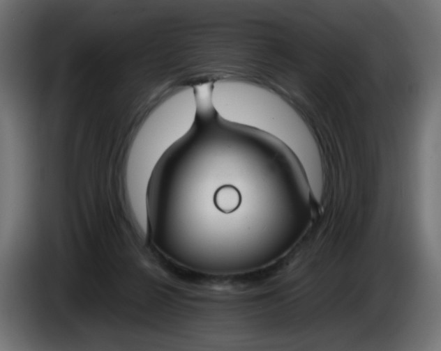 X0000086060264200704132025