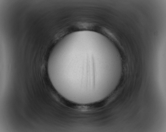 X0000086060265200704132025