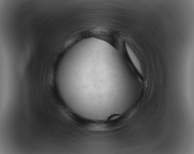 X0000086060266200704132025