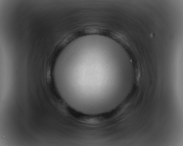 X0000086060267200704132025