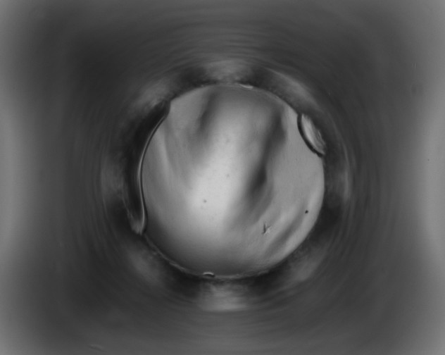 X0000086060268200704132025