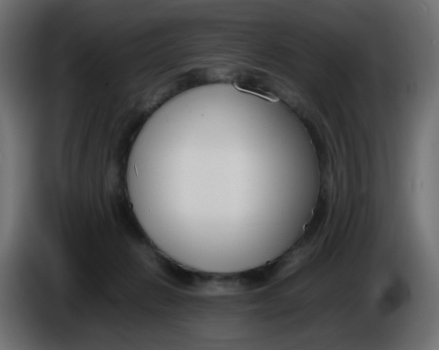 X0000086060270200704132025