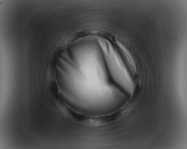 X0000086060272200704132025