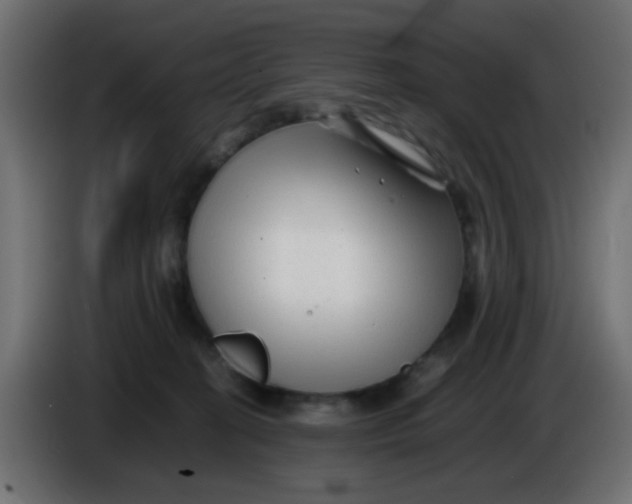 X0000086060274200704132025