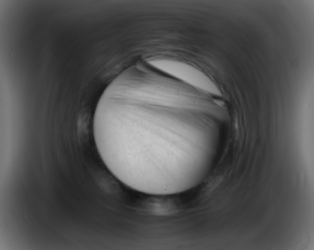 X0000086060275200704132025