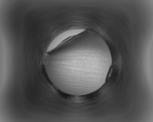 X0000086060277200704132025