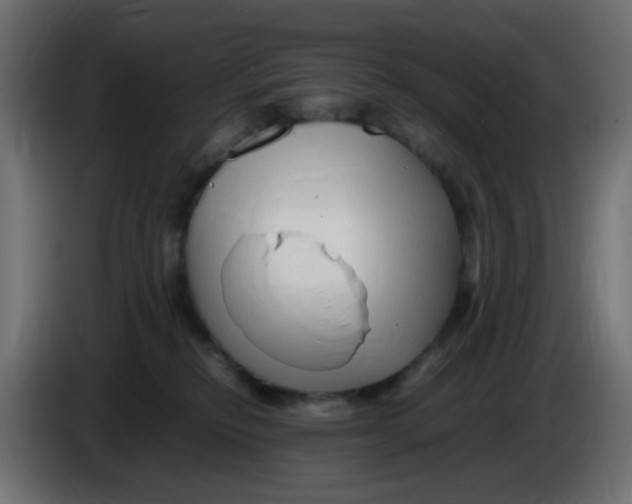 X0000086060278200704132025