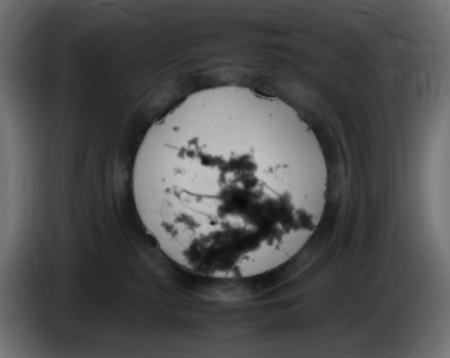 X0000086060279200704132025