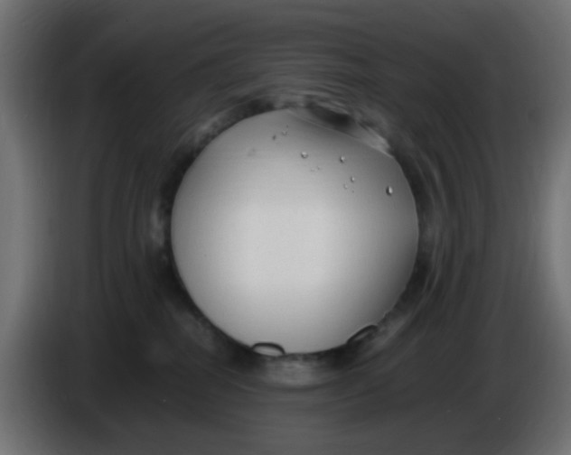 X0000086060282200704132025