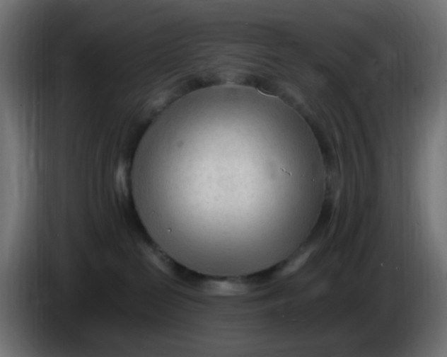 X0000086060286200704132025