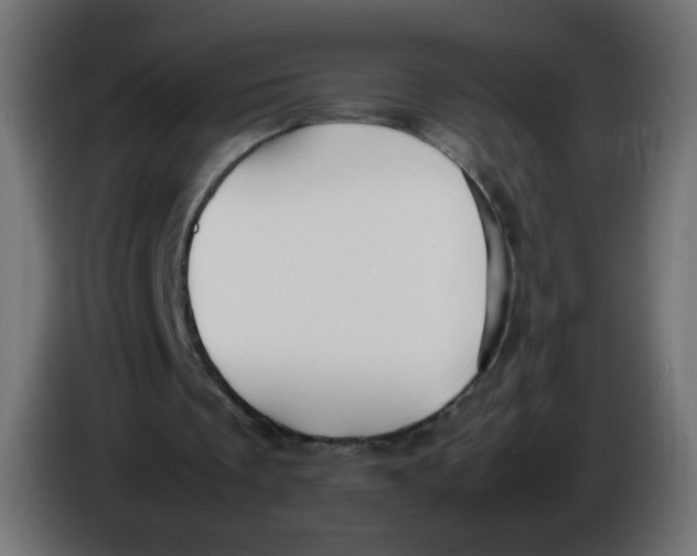 X0000086060289200704132024