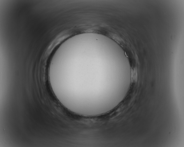 X0000086060291200704132024