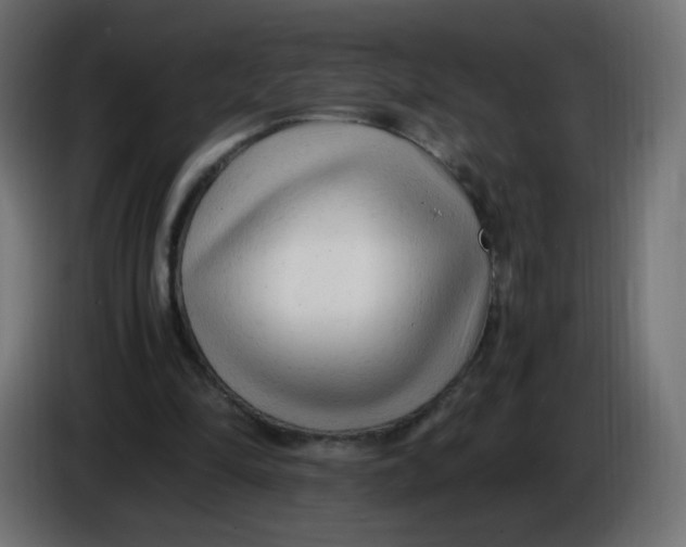 X0000086060294200704132024