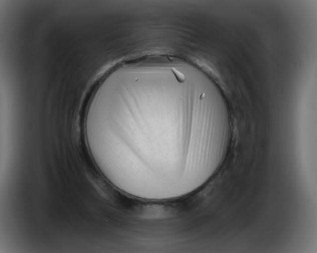 X0000086060298200704132024