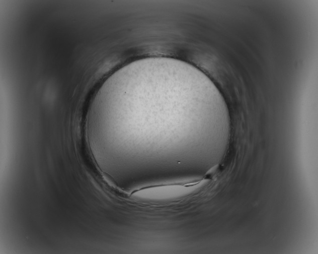 X0000086060299200704132024