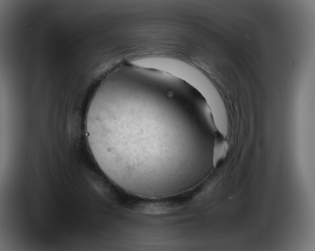 X0000086060303200704132024