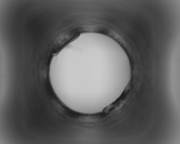 X0000086060305200704132024