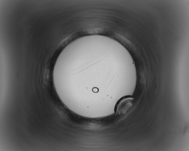 X0000086060308200704132024