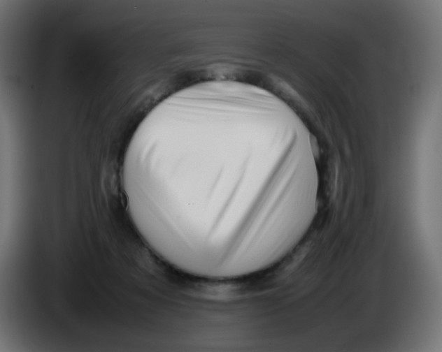 X0000086060313200704132024