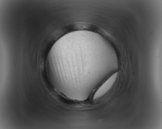 X0000086060315200704132024