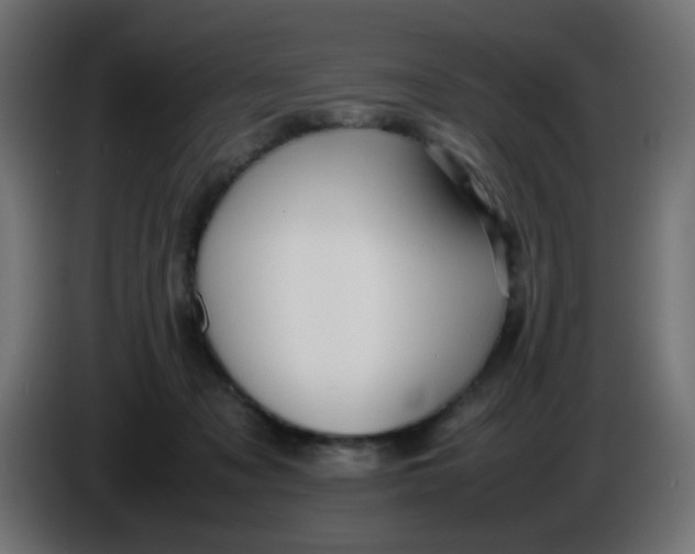 X0000086060317200704132024