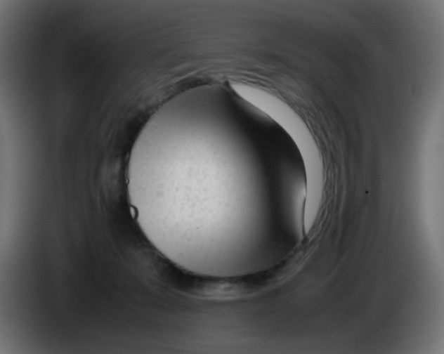 X0000086060319200704132024