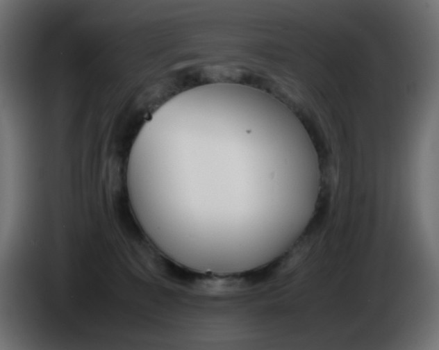 X0000086060323200704132024