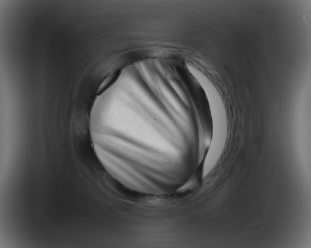 X0000086060325200704132024