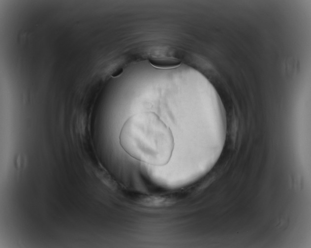 X0000086060326200704132024