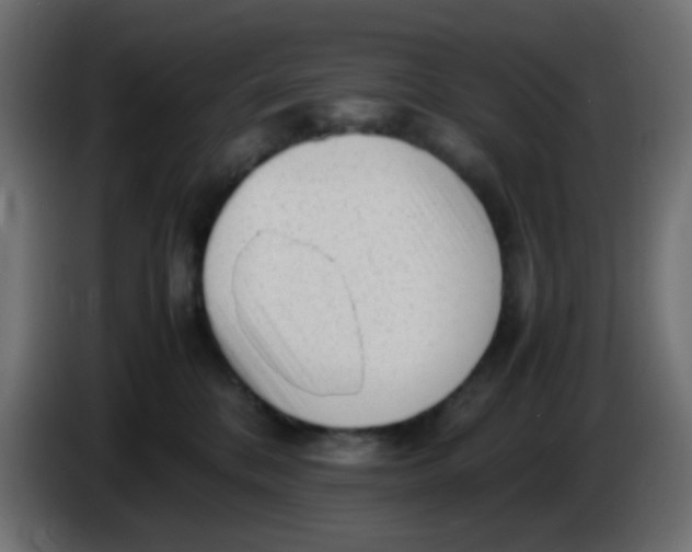 X0000086060328200704132024