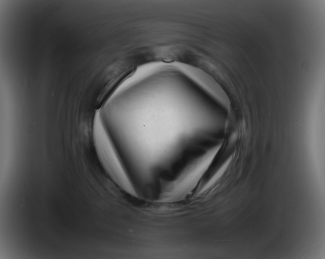 X0000086060329200704132024