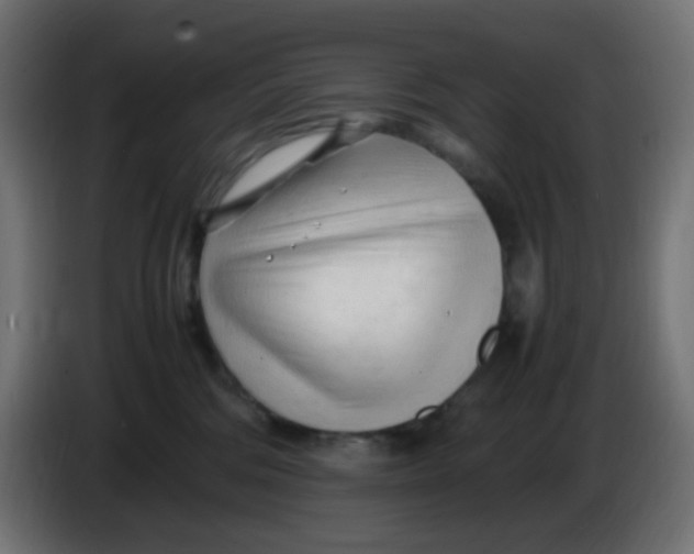 X0000086060330200704132024