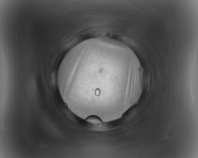 X0000086060335200704132024