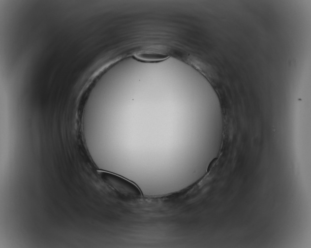 X0000086060338200704132023