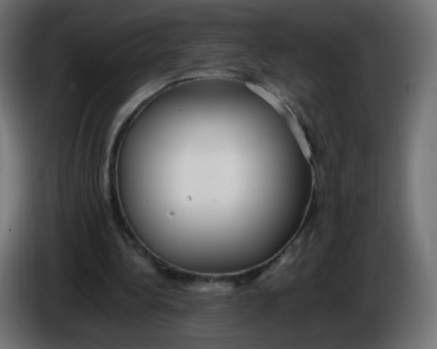 X0000086060340200704132023