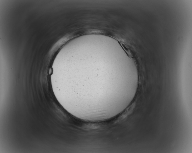 X0000086060341200704132023