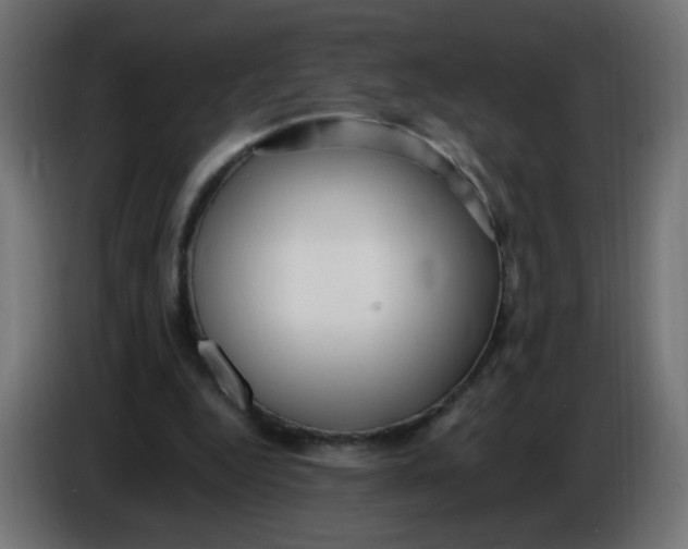 X0000086060344200704132023