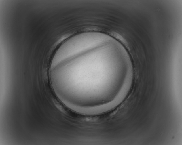 X0000086060345200704132023