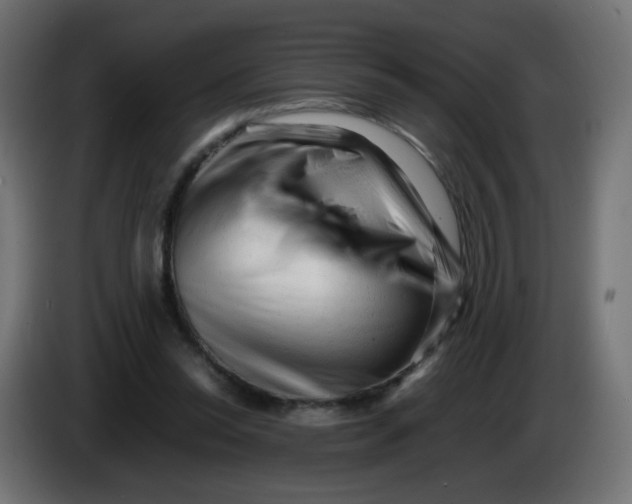 X0000086060350200704132023