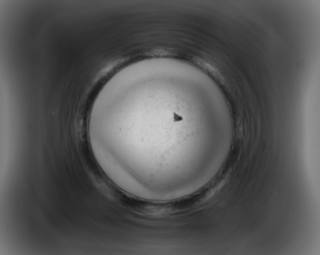 X0000086060351200704132023