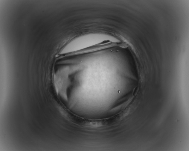 X0000086060353200704132023