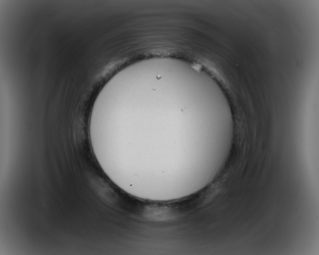 X0000086060354200704132023