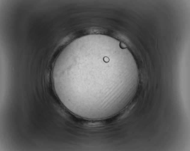 X0000086060357200704132023