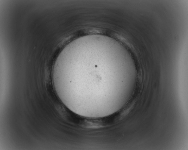 X0000086060359200704132023