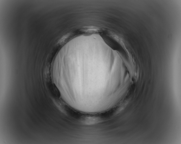 X0000086060360200704132023