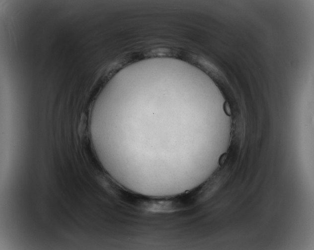 X0000086060361200704132023