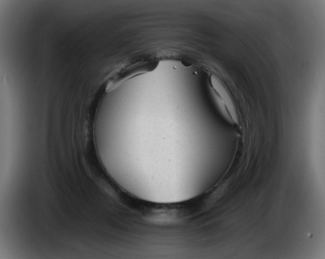 X0000086060362200704132023