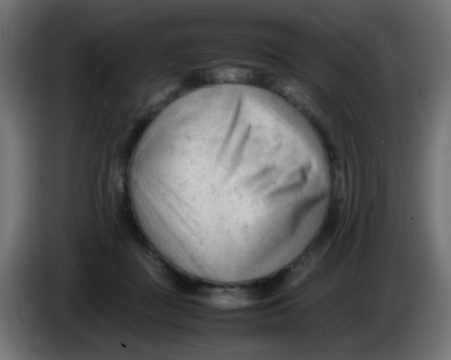 X0000086060363200704132023